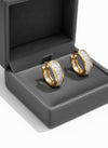 Evara Studs