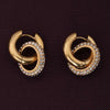 Shimmering Double Hoop Earrings